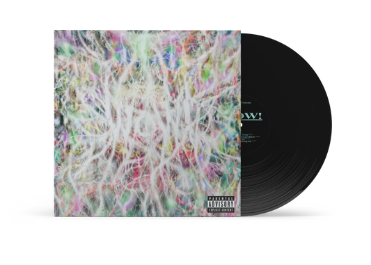 WOW - STANDARD - BLACK LP